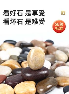 五彩鹅卵铺地原石彩色装石头庭院PZN花花园造景饰天然雨石白色石