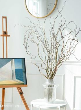 干树枝干支龙天然干柳花花诧禅寂意OYP民宿插装饰摆件玄关落地