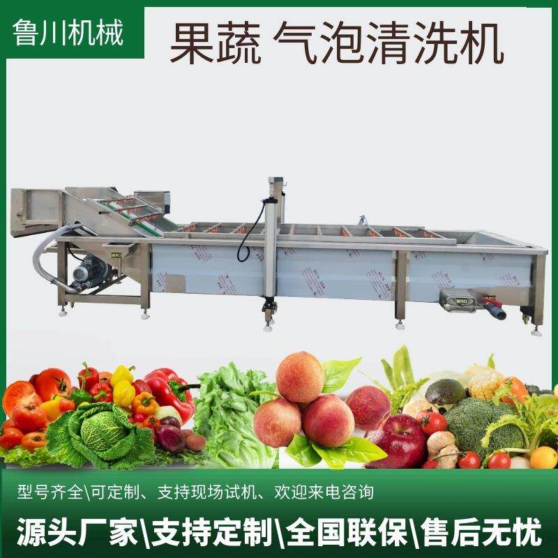 莲藕土豆去泥去污清洗设备高压喷淋洗菜机海红果气浪式清洗设备