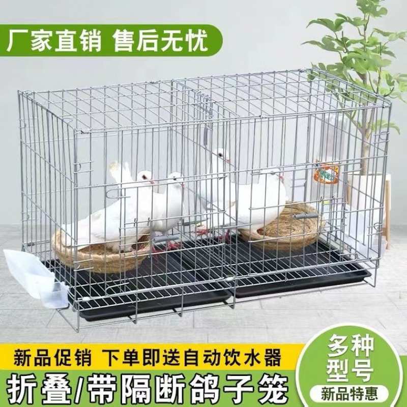 鸽子笼折叠养殖笼鸽子配对笼白鸽子笼家用鸽子用品鸡笼鸽子窝直销