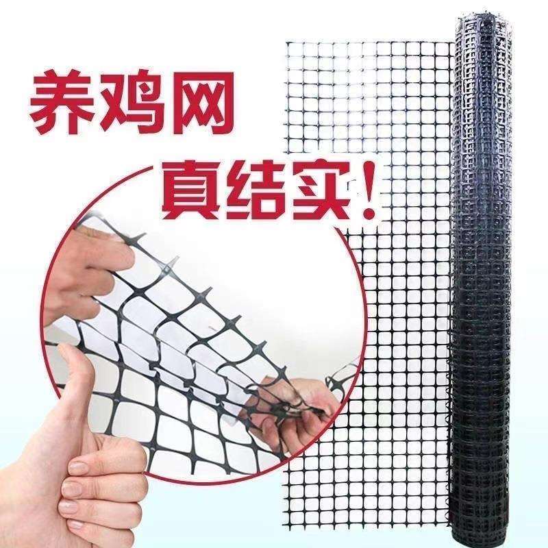 围栏网养鸡养鸭护栏网养禽专用养殖塑料围栏网环保材质种植业围栏