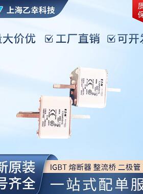 巴斯曼熔断器 170M5161 170M5162 170M5163 170M5164 170M5165