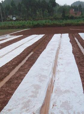 种植3S厚度280米长度整卷白色塑料薄膜透明塑料农膜地膜农用薄膜