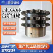 工业传动链条单双排三排链轮双链条齿轮定 1寸16A 3排台阶链轮 制