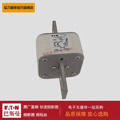 熔断器170M6557 170M6581 170M6586 170M6587 170M6600 170M6629