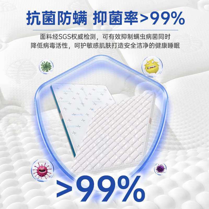 天然椰棕床垫硬垫海马棕榈家用卧室儿童护脊黄麻棕垫1.8m加硬