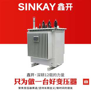 s22-250kva高过载315kw千瓦400千伏安500室外630铜箔油浸式变压器