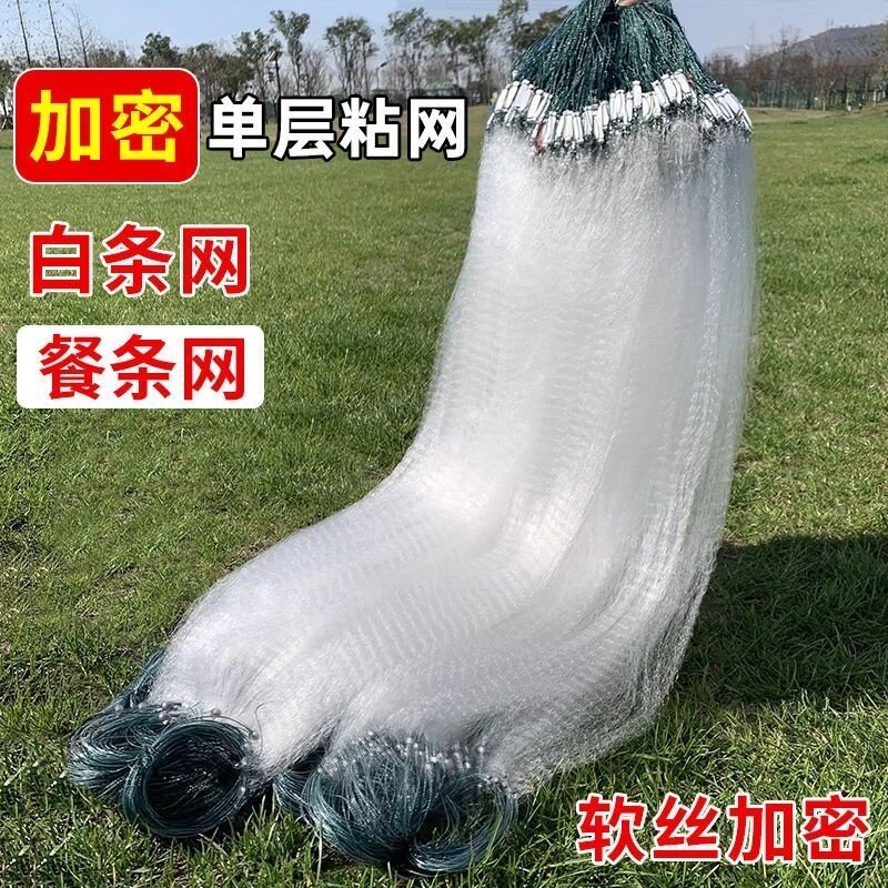 单层渔网粘网白条餐条专用小鱼网丝网三层沉网浮网捕鱼网6分1指高
