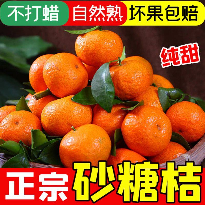 广西桂林砂糖橘沙糖桔当季新鲜果