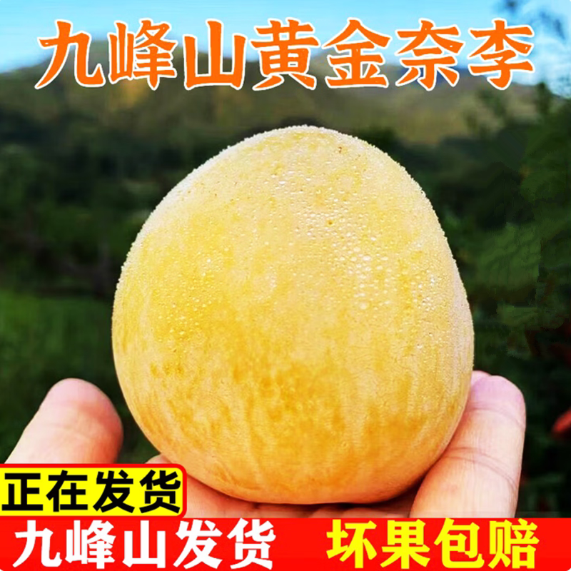 广东韶关现摘纯甜冰糖李包邮