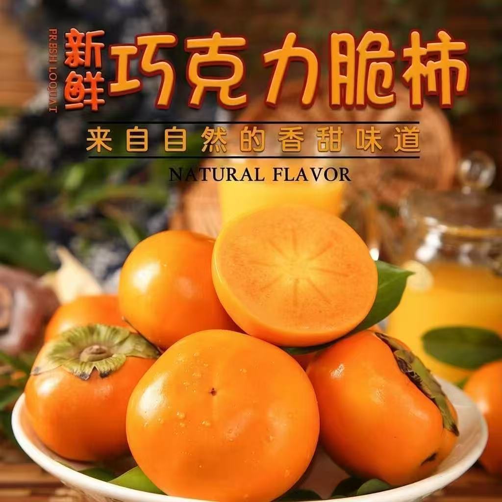 阳丰正宗巧克力脆柿子9斤大甜柿