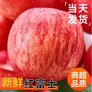 正宗红富士苹果优质当季新鲜水果现摘整箱脆甜冰糖心汁水足丑苹果