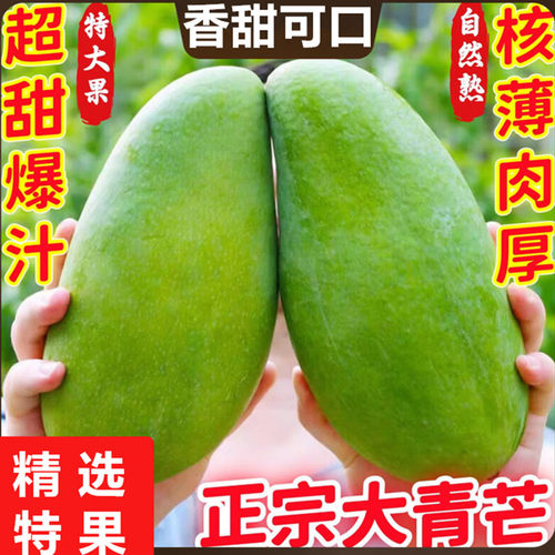 正宗广西青皮芒现摘大青芒