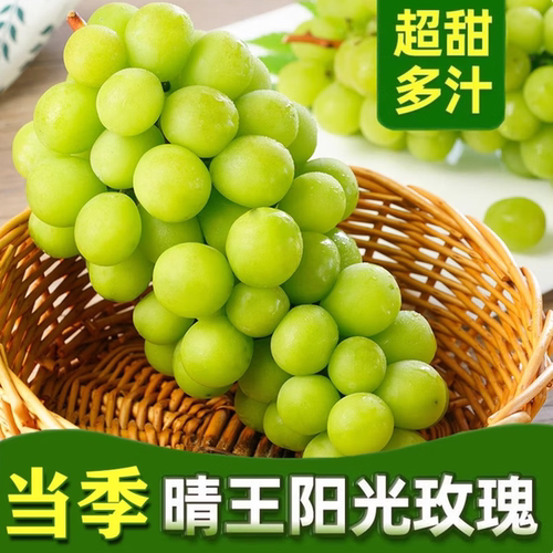 当季新鲜无籽阳光玫瑰葡萄5斤