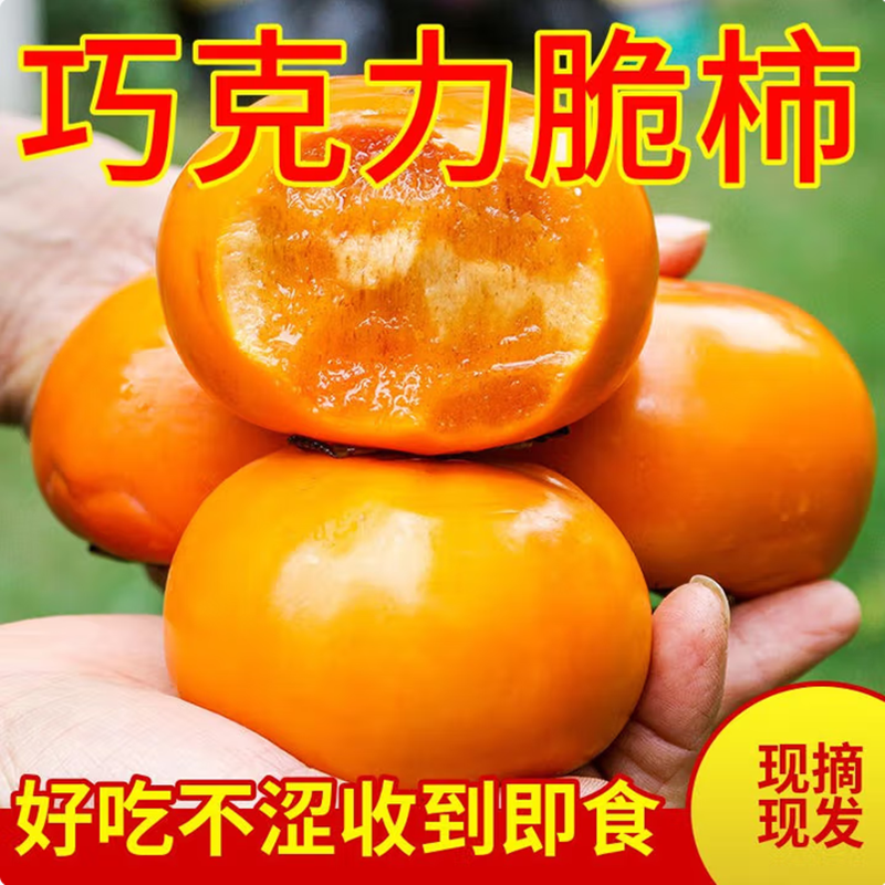 广西正宗巧克力脆柿子9斤大甜柿