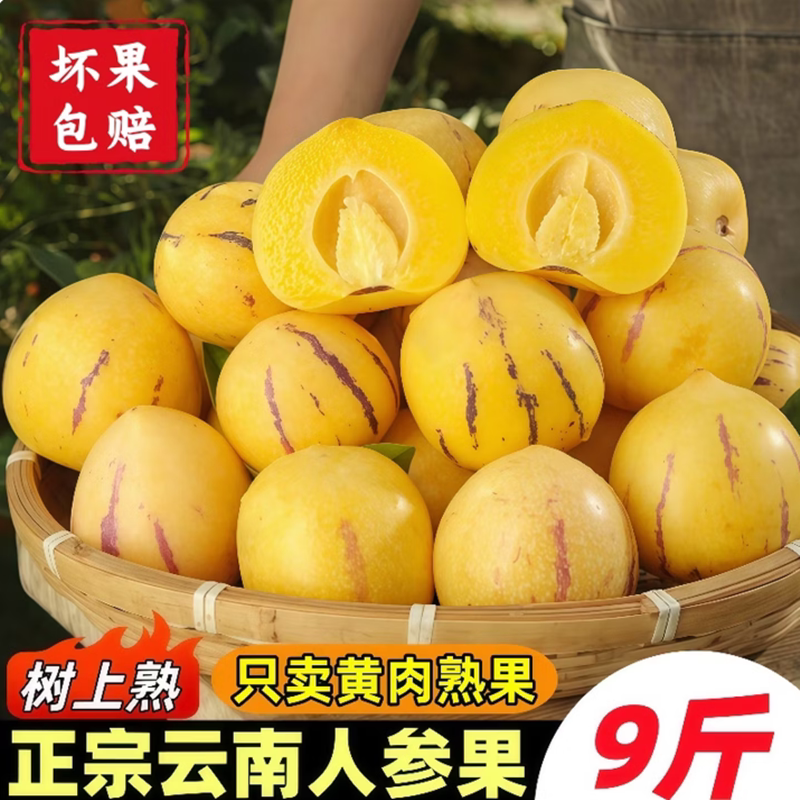 云南树上熟人参果新鲜现摘16颗大