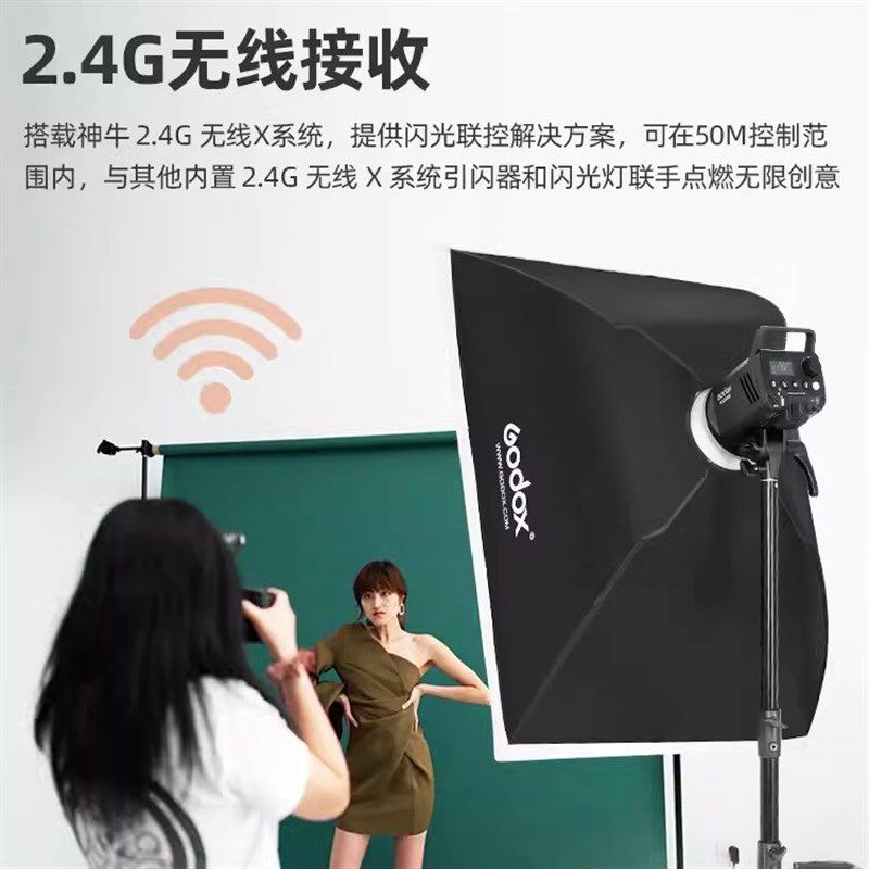 Godox神牛MS200V/MS300V影棚闪光灯小型便携内置无线系统保容卡口