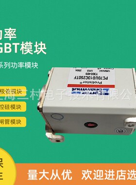熔断器保险丝PC70GB69V80ESFE301304 PC70GB69V100ESFS301293
