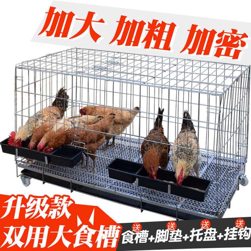 小鸡笼子育雏笼子家用室外 大号 特大室内养鸡笼子芦丁鸡笼子