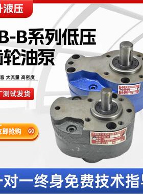 液压齿轮泵CB-B10/B4/B6/B16/B20/B25/B32/B40/50/63油泵配件大全