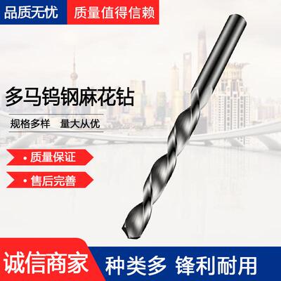 多玛麻花钻Dormer R1004.1普通长度钻头 直径1.00 - 14.00