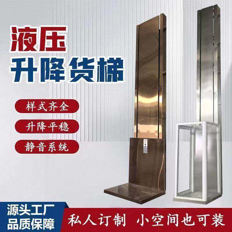 家用电梯别墅小电梯自建房电梯室内家用小电梯2层3层别墅小电梯