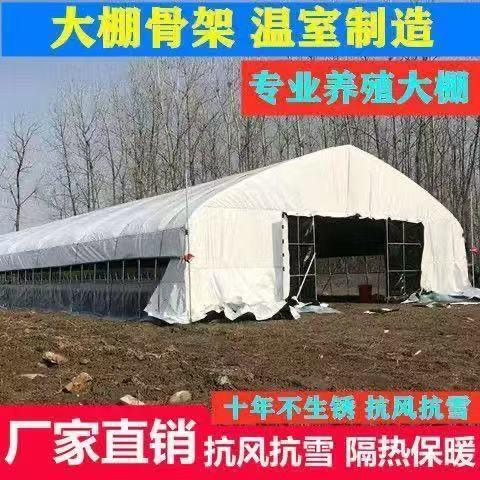 种植大棚骨架养殖鸡猪棚