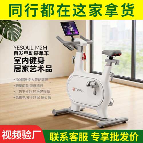 YESOUL野小兽动感单车小型静音健身器材室内运动健身车M2M