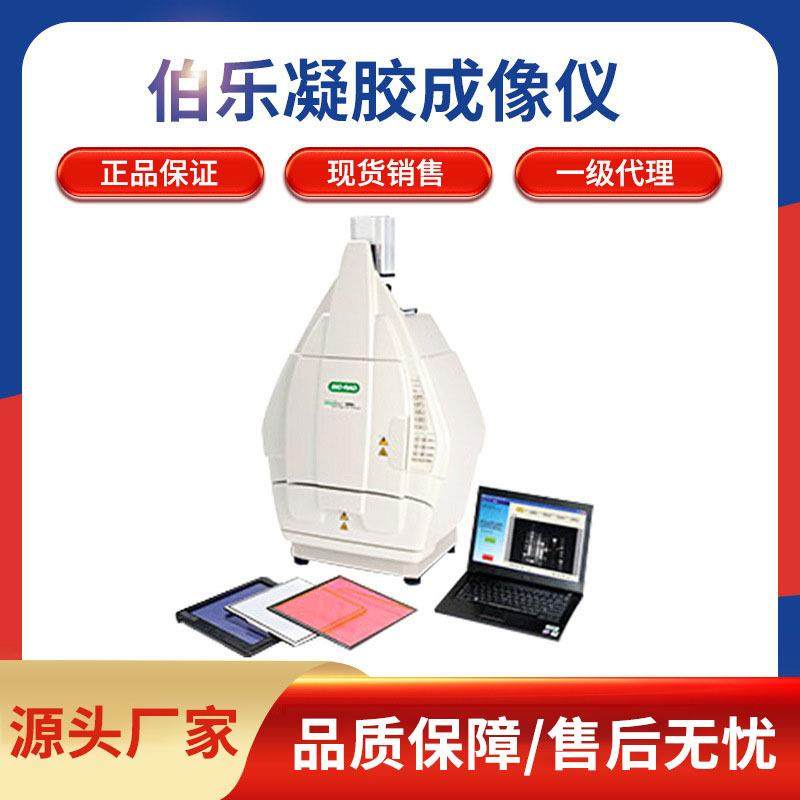 美国伯乐Bio-Rad凝胶成像系统凝胶成像仪文档系统现货