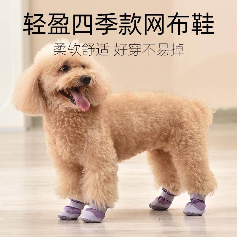 佳美乐狗狗鞋子迪小泰型博犬四季款比熊网鞋一套4祇XB1832宠布物,宠物/宠物食品及用品,宠物鞋子,淘宝优惠券,粉丝福利购,淘宝优惠卷