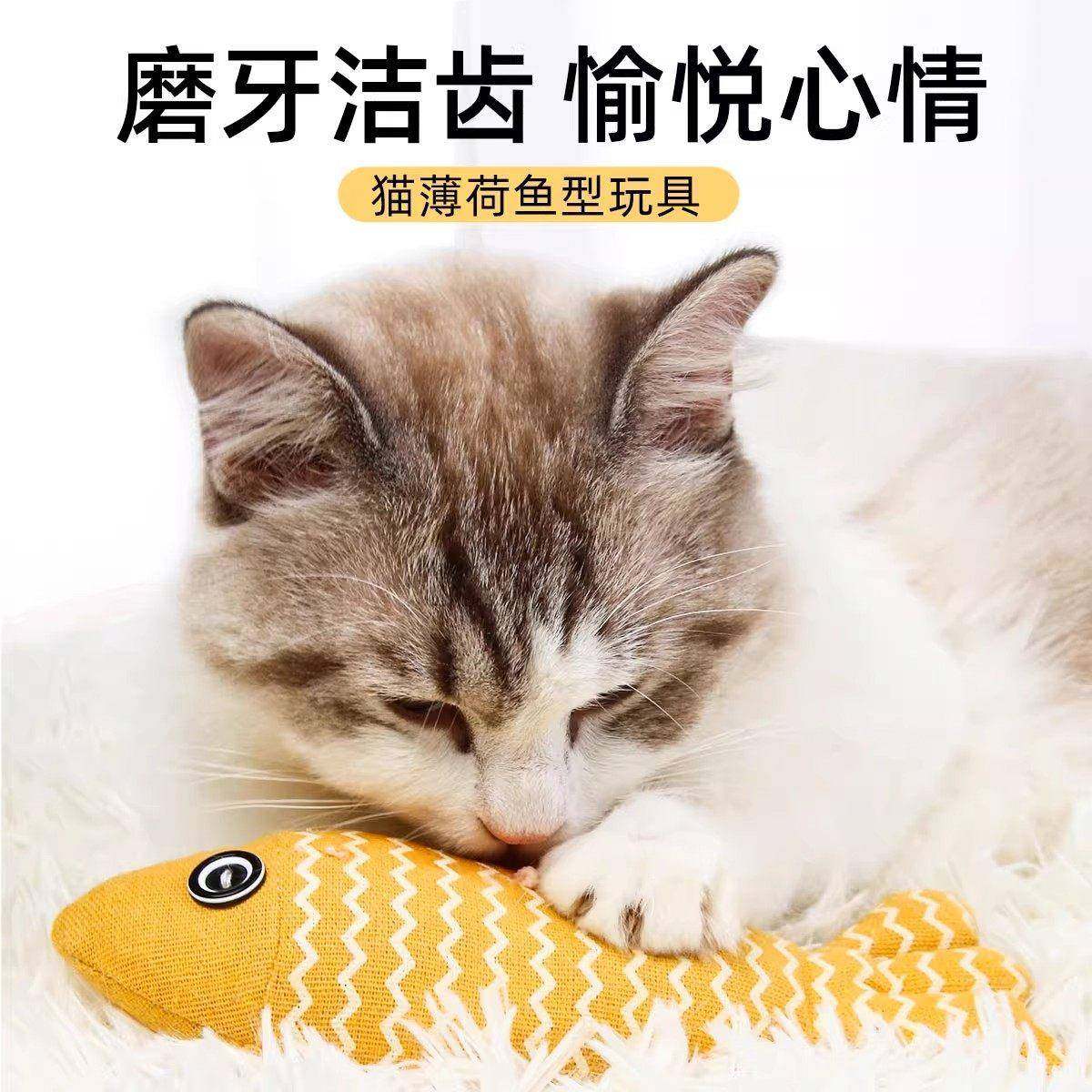 猫玩具自嗨螺茗春解闷神鼠器猫咪薄鱼小老荷木天蓼磨牙棒球小猫用,宠物/宠物食品及用品,猫薄荷/木天蓼,淘宝优惠券,粉丝福利购,淘宝优惠卷