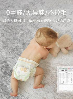 毯客厅2025新款轻奢级感灰色卧高室床边极简免洗地可擦现代KT-FYR