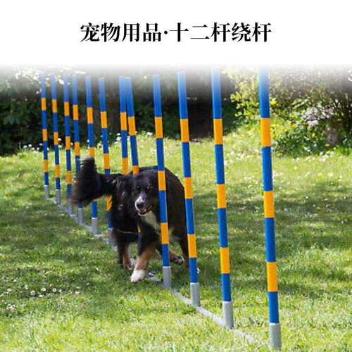 金属训狗器械狗狗绕杆FCI标准犬敏捷训练器材宠物狗S杆