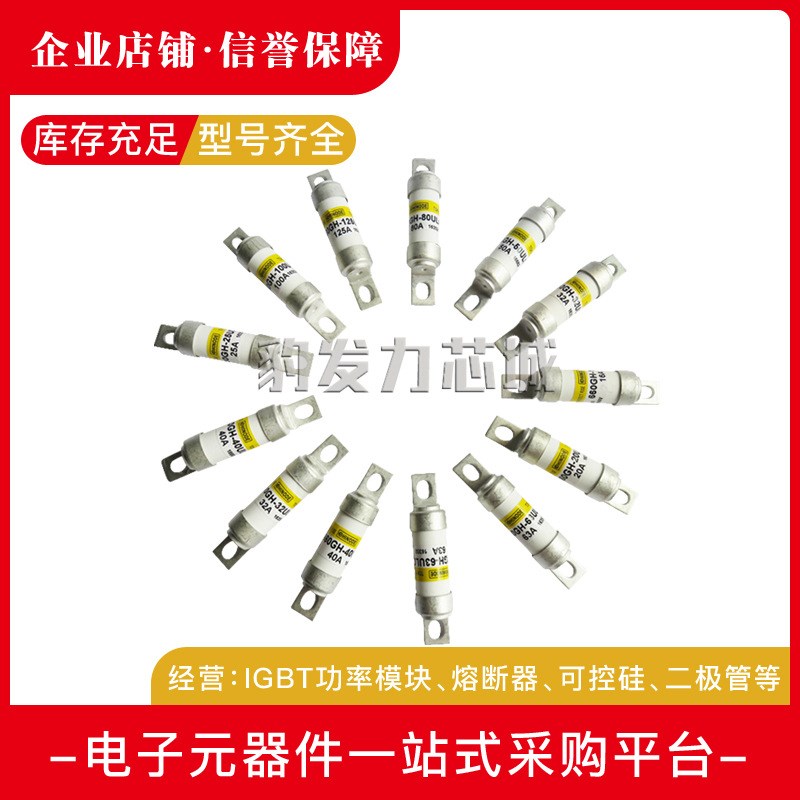 1000GH-32UL 1000GH-40UL 1000GH-50UL快速熔断器 保险丝 断路器