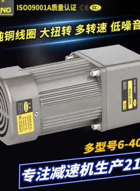 台松90型140W交流调速定速电机三相异步电机380V/220V5IK140GU-SF