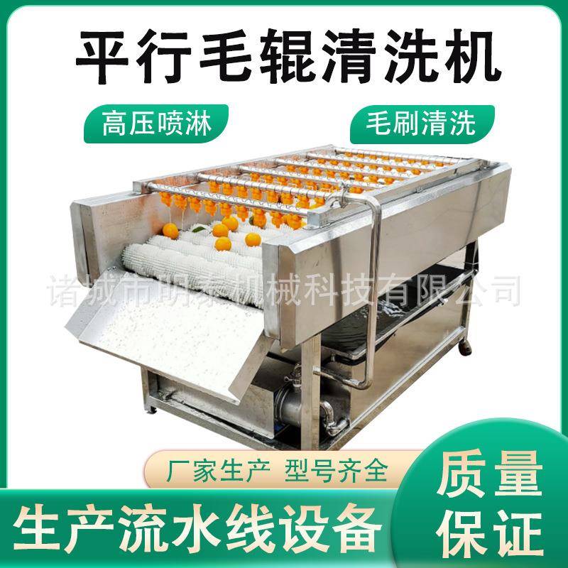 红薯平行毛辊清洗机柠檬百香果清洗风干线海蛎子生蚝毛刷去泥机