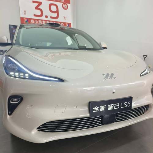 智己LS6前脸金属中网配件外观改装配件水箱防虫网汽车用品配件