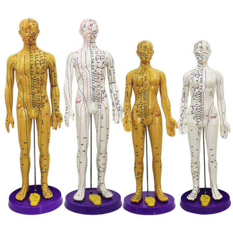 铜色人体穴位模型经络皮人教学模型经络模型男50cm女48cm,农用物资,其他肥料,淘宝优惠券,粉丝福利购,淘宝优惠卷