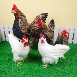 仿真母鸡公鸡大中小羽毛软装工艺品家居摆件教学影视道具