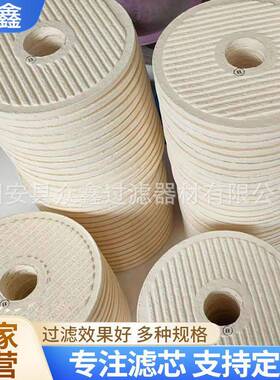 PA5601333离线过滤器滤芯BLDA15/25西西延森淬火油滤芯