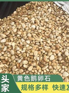 供应黄色鹅卵石雨花石园林造景建设公园道路铺路石子鹅卵石