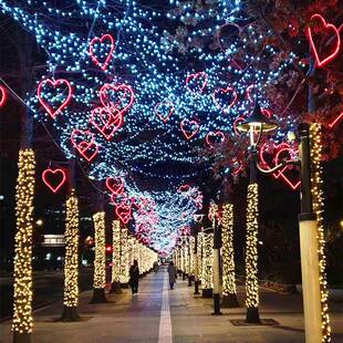 灯光节造型灯户外园子氛围灯彩灯场地布置亮化树木挂件爱心装饰灯