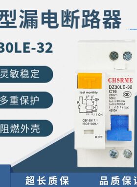 上海人民DZ30LE-32家用小型漏电保护器DPN空气开关双进双出双线