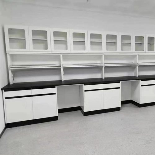 实验室厂家供应 全钢实验室吊柜 实验室专用吊柜批发储物耐腐蚀