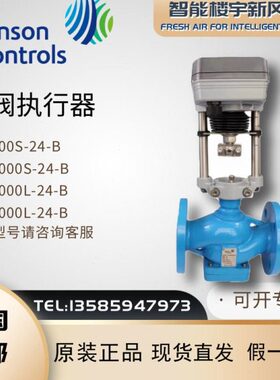 江森VAP600S-24-B VAP1000S-24-B VAP3000L-24-B座阀执行器VG8000