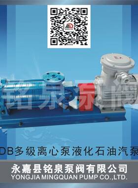 LPG液化石油气泵DB-65-8多级泵高压油泵铜叶轮泵
