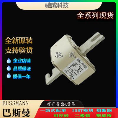 巴斯曼170M6170 170M6171 170M6188 原装进口销售 紧凑熔断器