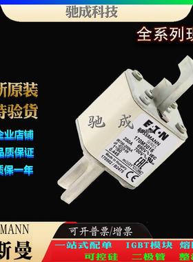 巴斯曼170M3016 170M3017 170M3018 厂价直销质优价廉 快熔保险丝