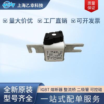 巴斯曼熔断器 170M4310 170M4311 170M4312 170M4313 170M4314