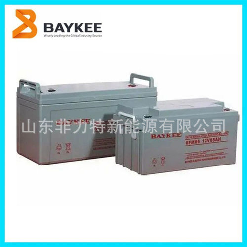 柏克BAYKEE蓄电池6FM55密闭密封式12V55AH直流屏应急配套电源